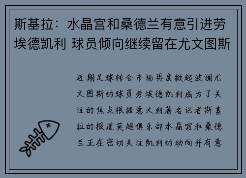 斯基拉:水晶宫和桑德兰有意引进劳埃德凯利 球员倾向继续留在尤文图斯 斯基拉:水晶宫和桑德兰有意引进劳埃德凯利 球员倾向继续留在尤文图斯